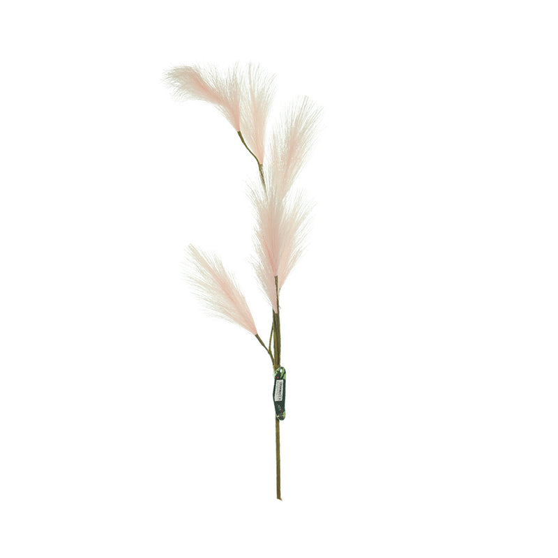 Ideal Living Pampas Grass