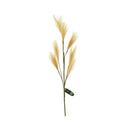 Ideal Living Pampas Grass
