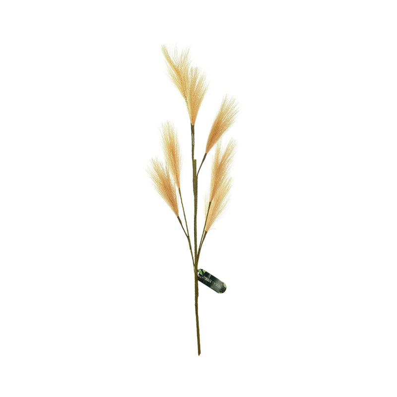 Ideal Living Pampas Grass