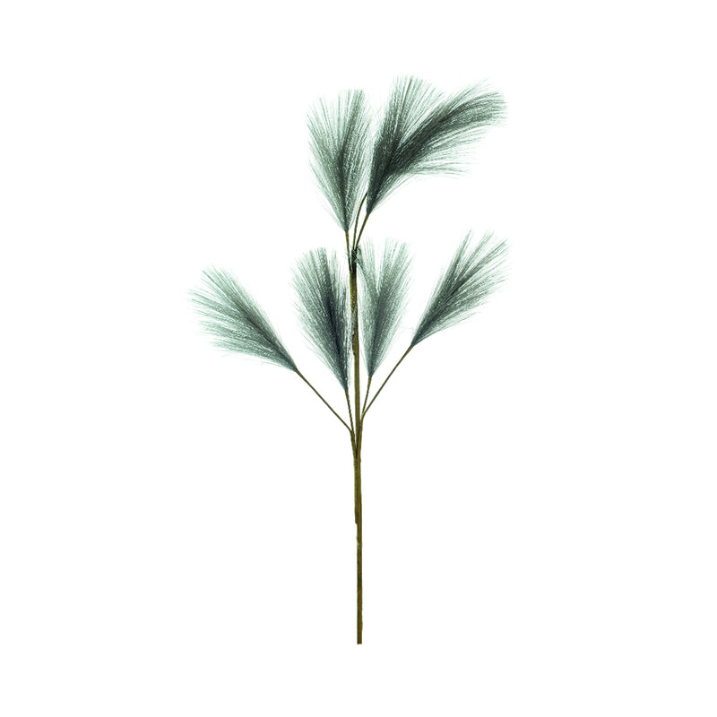 Ideal Living Pampas Grass