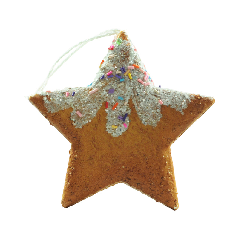Ideal Living Christmas Star Ornament