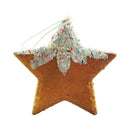 Ideal Living Christmas Star Ornament