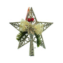 Ideal Living Christmas Star Ornament