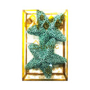 Ideal Living 2in1 Christmas Star