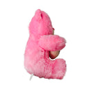 Stuffed Toys Bear With Heart 30cm