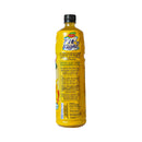 Del Monte Fit 'N Right Juice Drink Burn Pineapple 1L