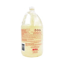 Apollo Muriatic Acid 4L