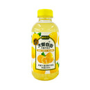 Fresh Point Big Meal Juice Drink 500ml