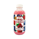 Fresh Point Big Meal Juice Drink 500ml