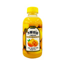 Fresh Point Big Meal Juice Drink 500ml