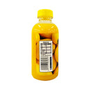 Fresh Point Big Meal Juice Drink 500ml