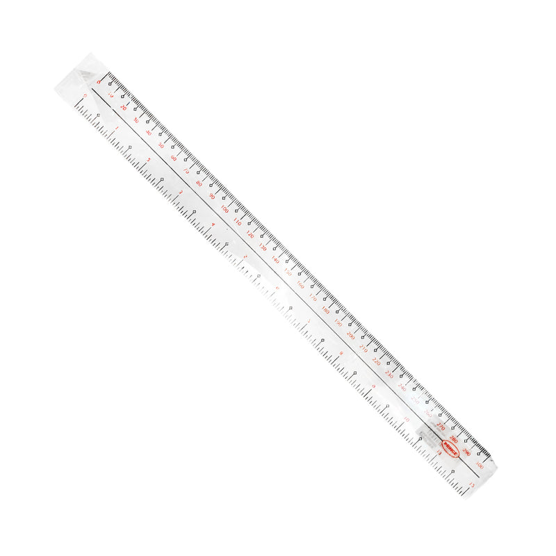 Plastic Ruler 12in