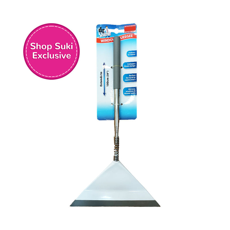 Dr. Shine Window Squeegee Gray