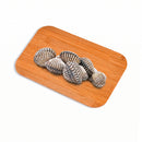 Litob Shell