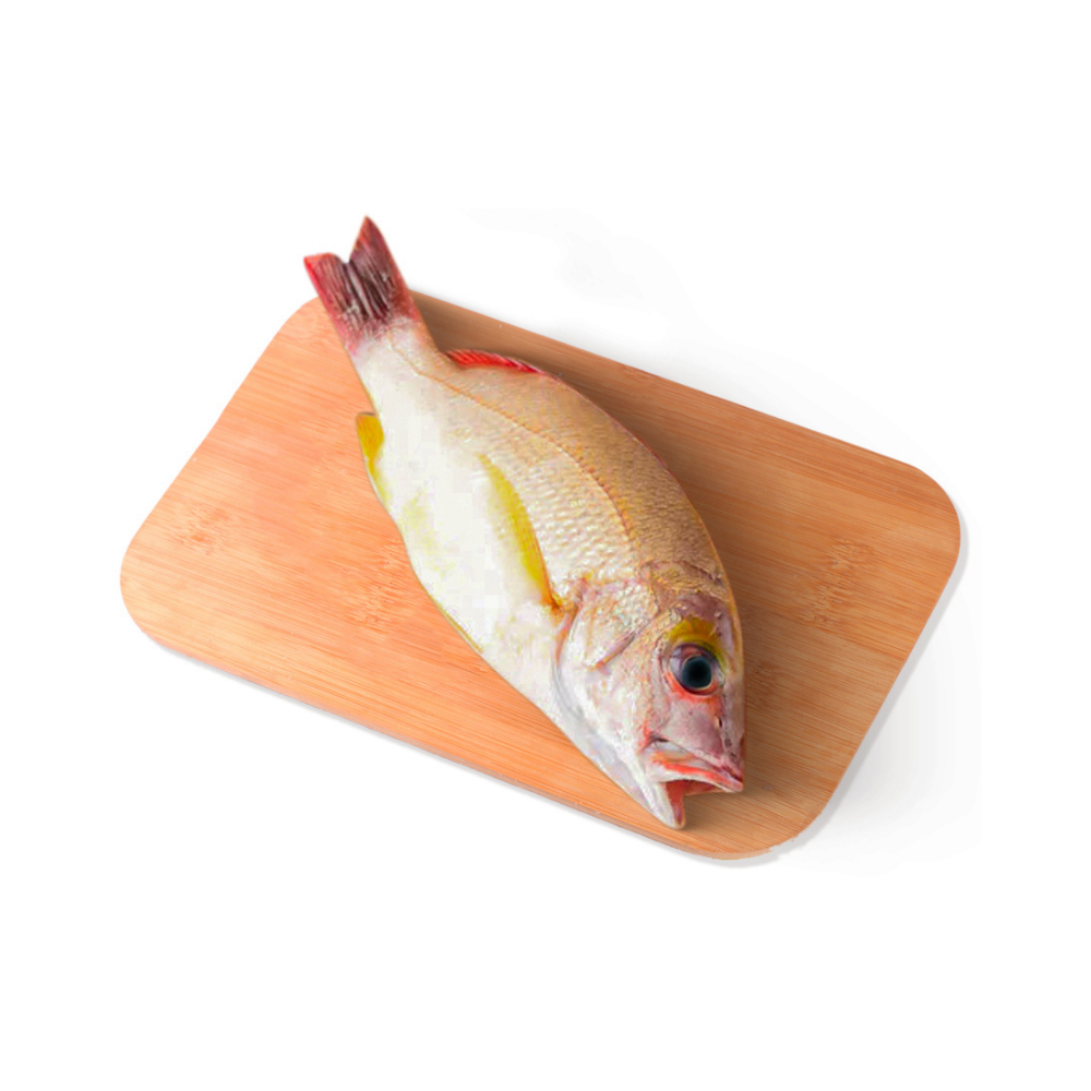 Fish And Rari Sari Fish