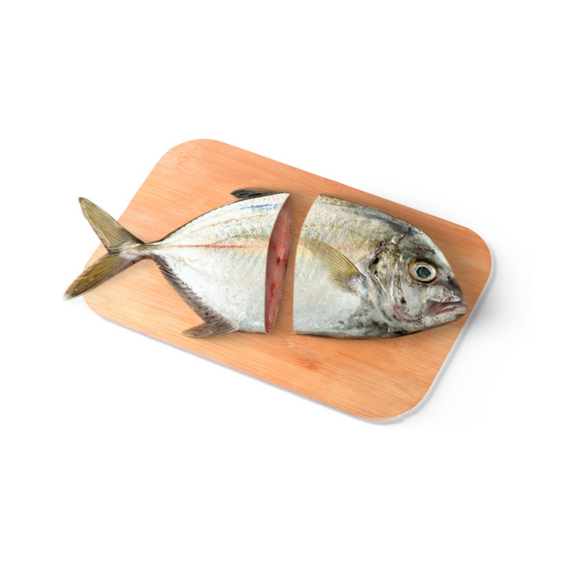 Talakitok Fish