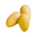 Mango Ripe