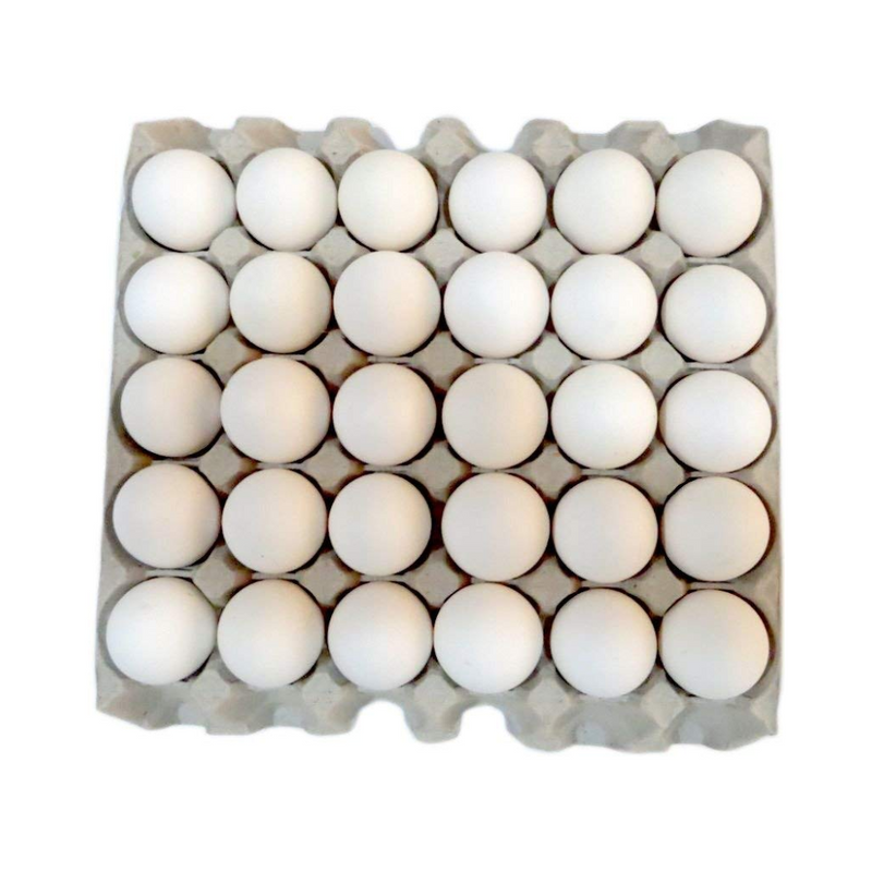 Fresh Eggs XLarge (Tray)