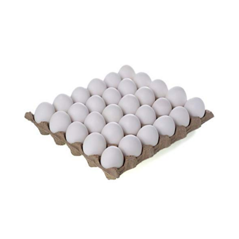 Fresh Eggs Large (Tray)