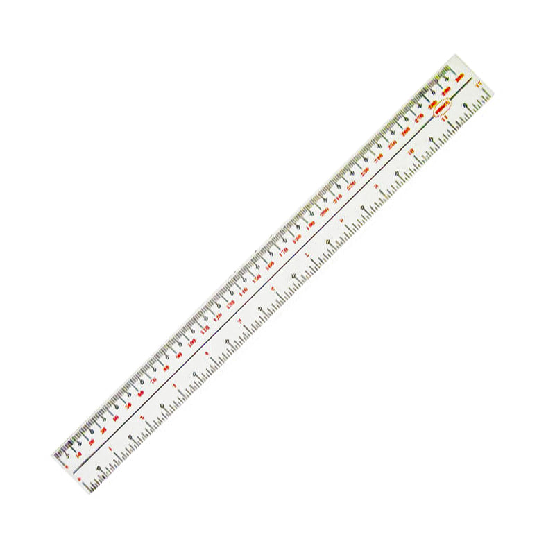 Plastic Ruler 12in