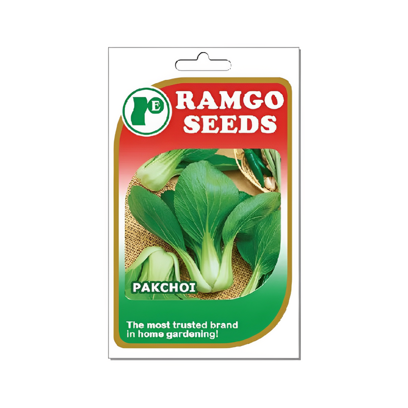 Ramgo Seeds Pak Choi Chinkang Green Bucks