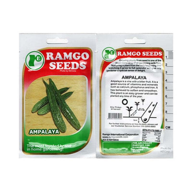 Ramgo Seeds Ampalaya Sta. Isabelle