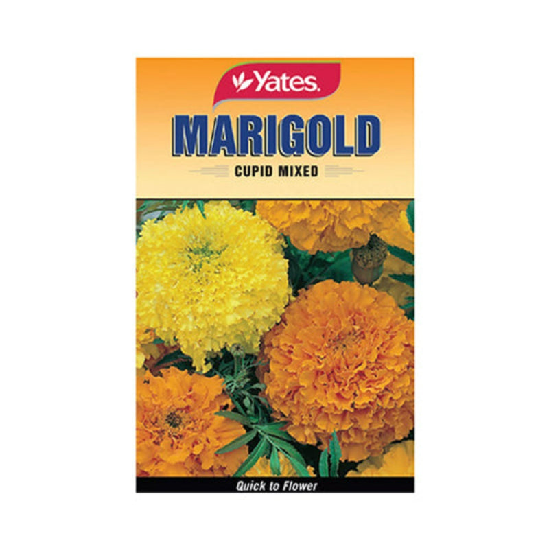 Yates Seeds Marigold Cupid Mixed