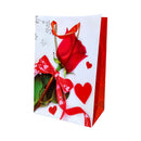 Special Occasion Paper Bag Medium