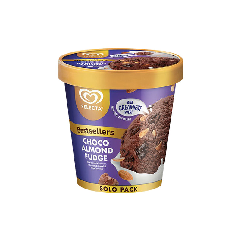 Selecta Solo Pack Ice Cream Choco Almond Fudge 450ml