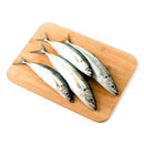 Burot (Galunggong Jutay)