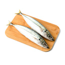 Burot (Galunggong Jutay)