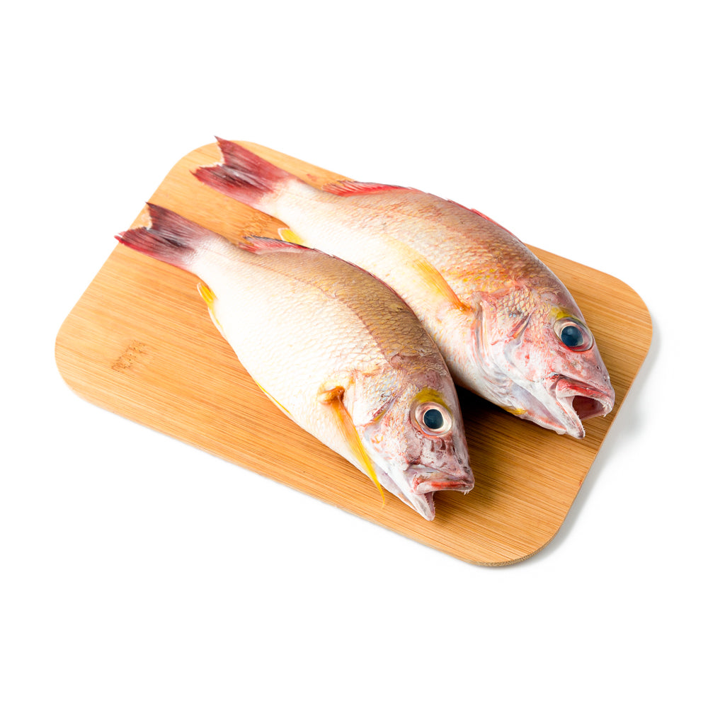 Fish And Rari Sari Fish