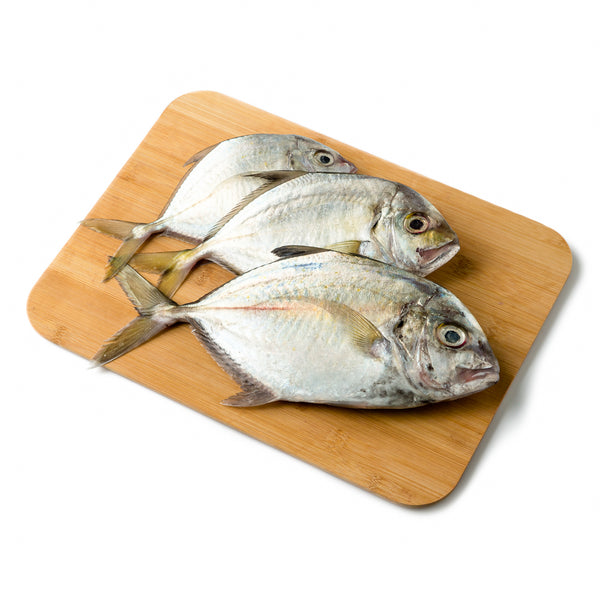 Peixe Talakitok Em Ingles Grilled Talakitok | Freshly Catch Trevally