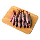 Solid (Dalagang Bukid)