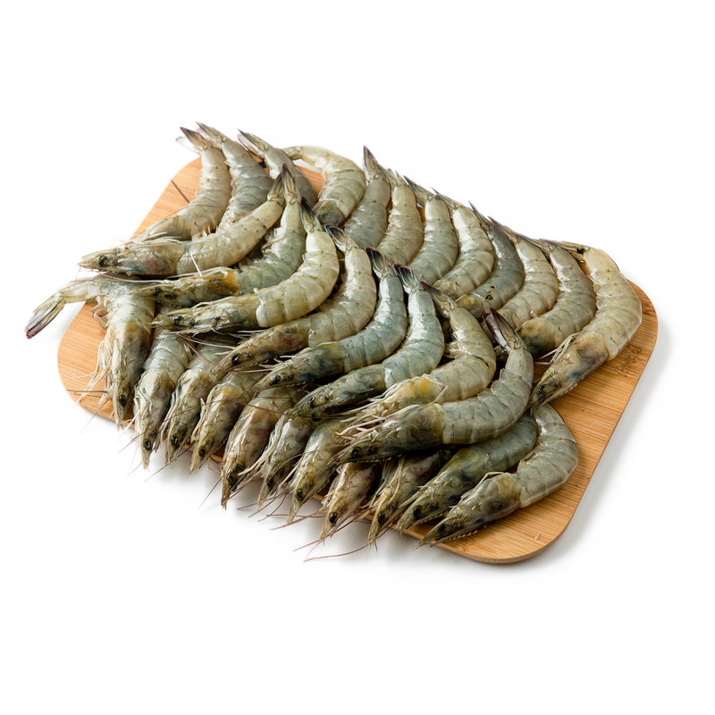 Pasayan Fish Pasayan White (Camaron)