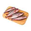 Solid (Dalagang Bukid)