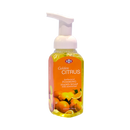 Cleene Antibacterial Foaming Hand Soap Citrus 259ml