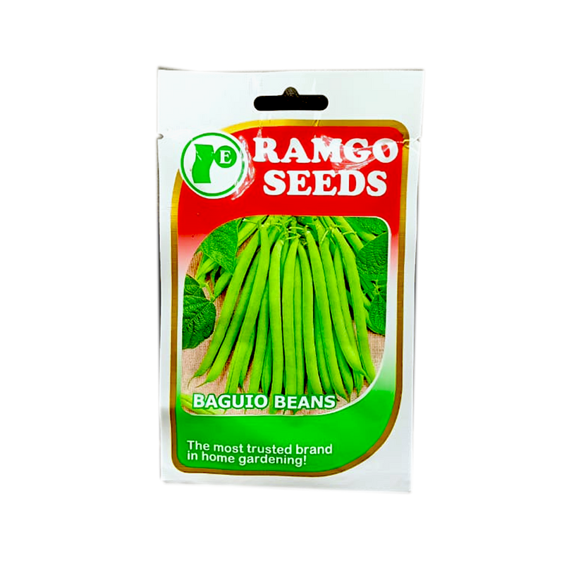 Ramgo Seeds Baguio Beans Jordan Black