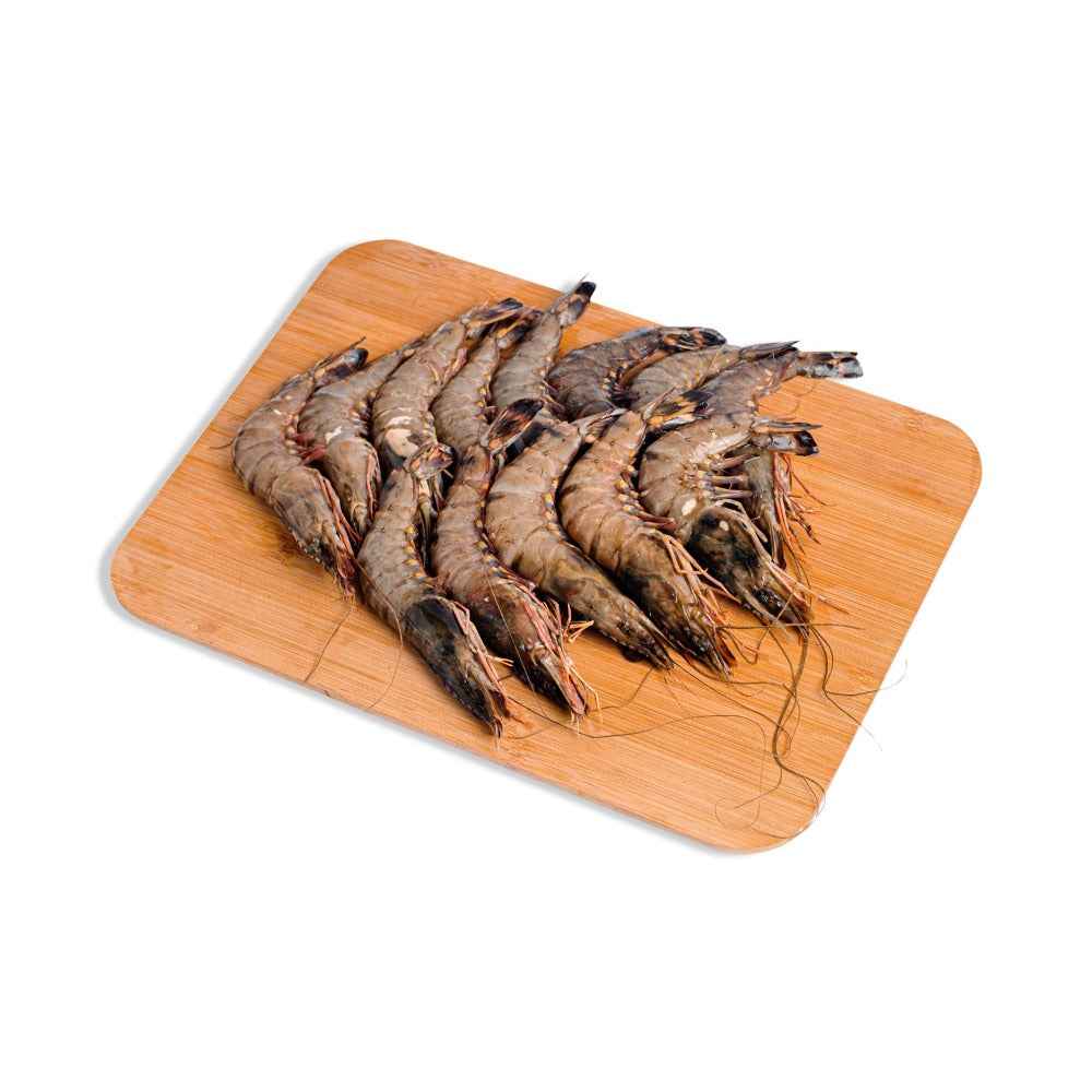 Ulacon Fish Lucon