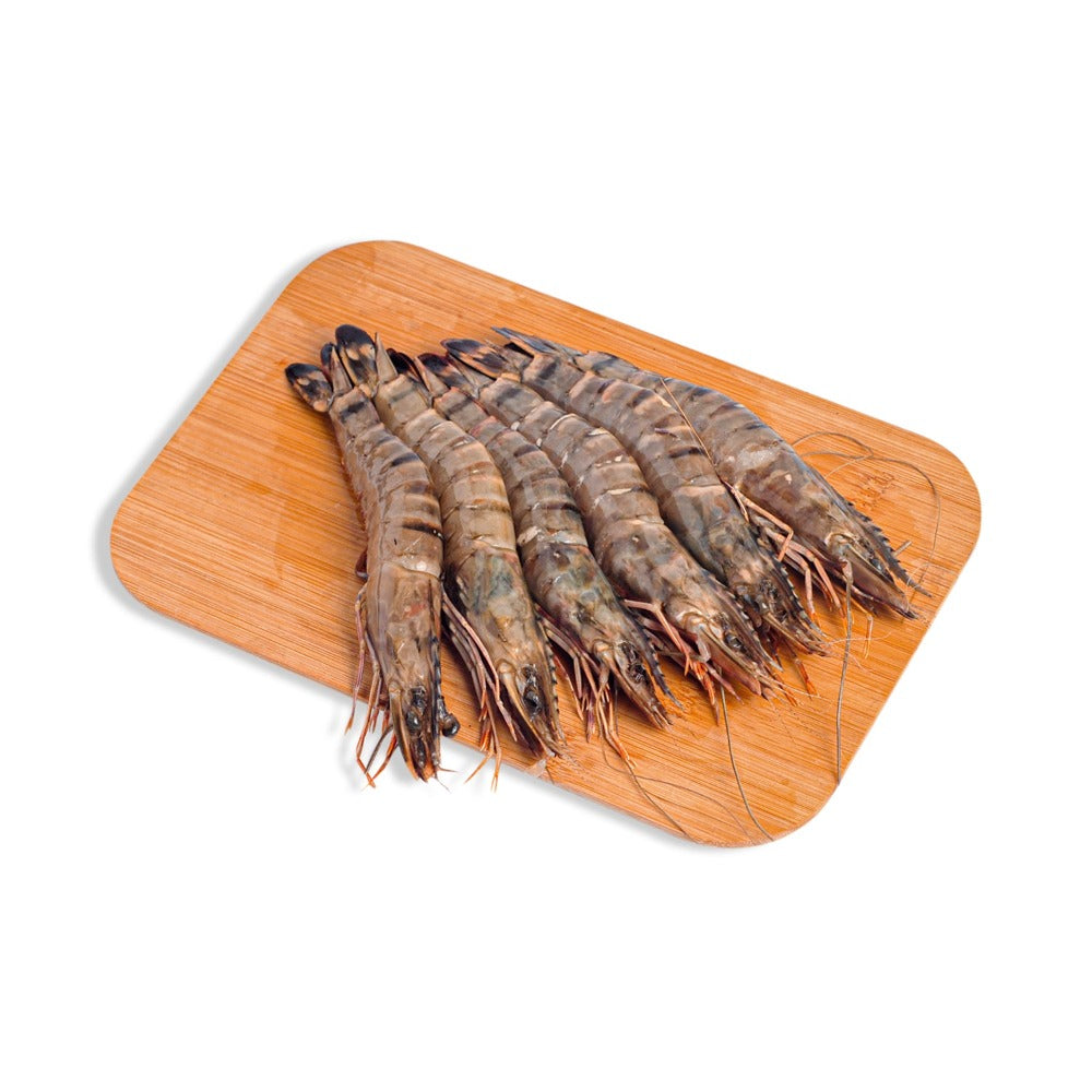 Ulacon Fish Lucon