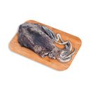 Pusit White (Choca Blanko)