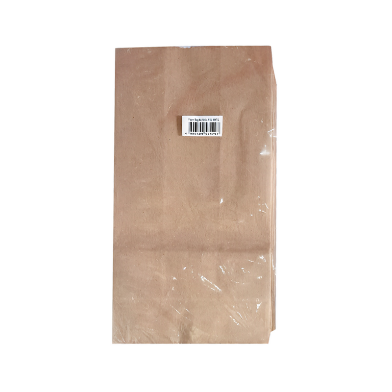 YSU Paper Bag